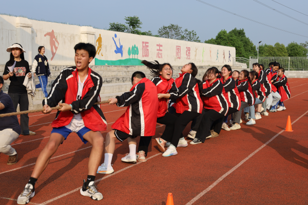 常德德才科技職業(yè)學校,常德招生就業(yè),電子商務專業(yè)學校,專業(yè)學校報考哪里好